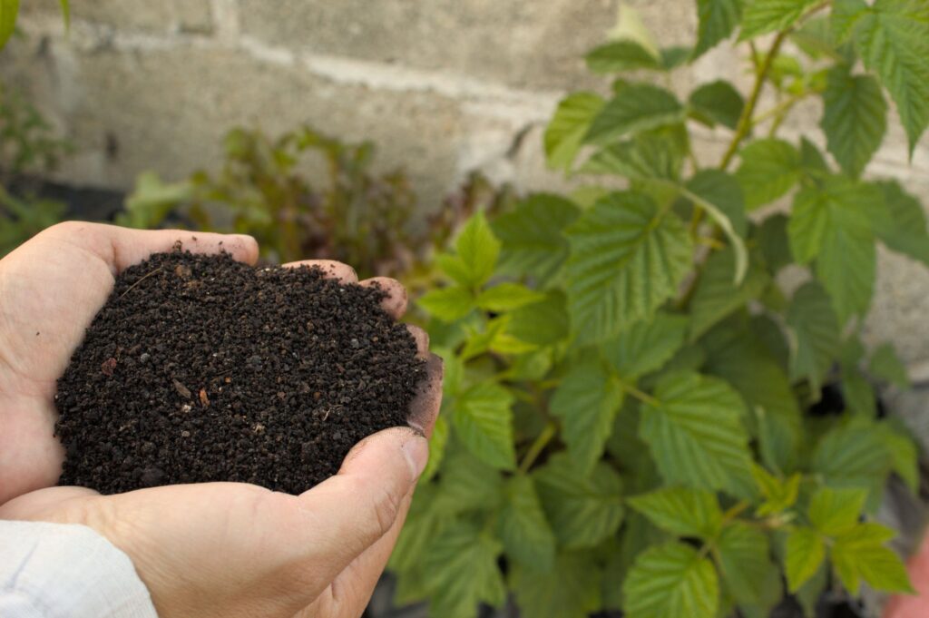 Compost fertile pour jardinage en biodynamie