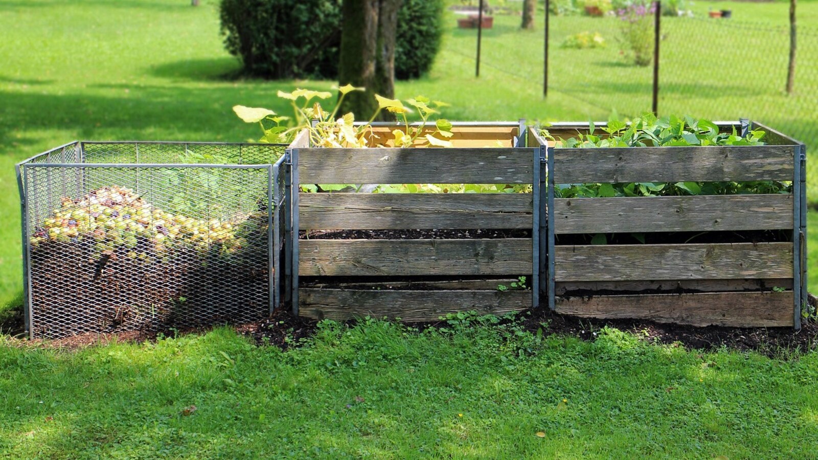 Composteurs accueillant des déchets verts dans un jardin