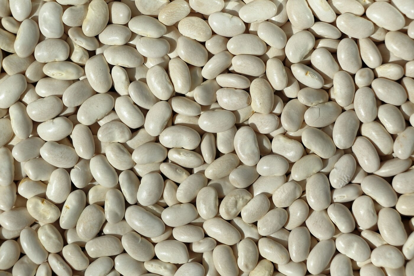 Haricots blancs secs dans un récipient en bois