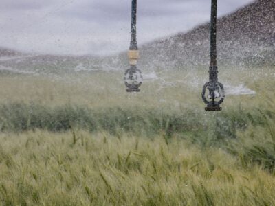 Moselle arrosage jardin alerte secheresse