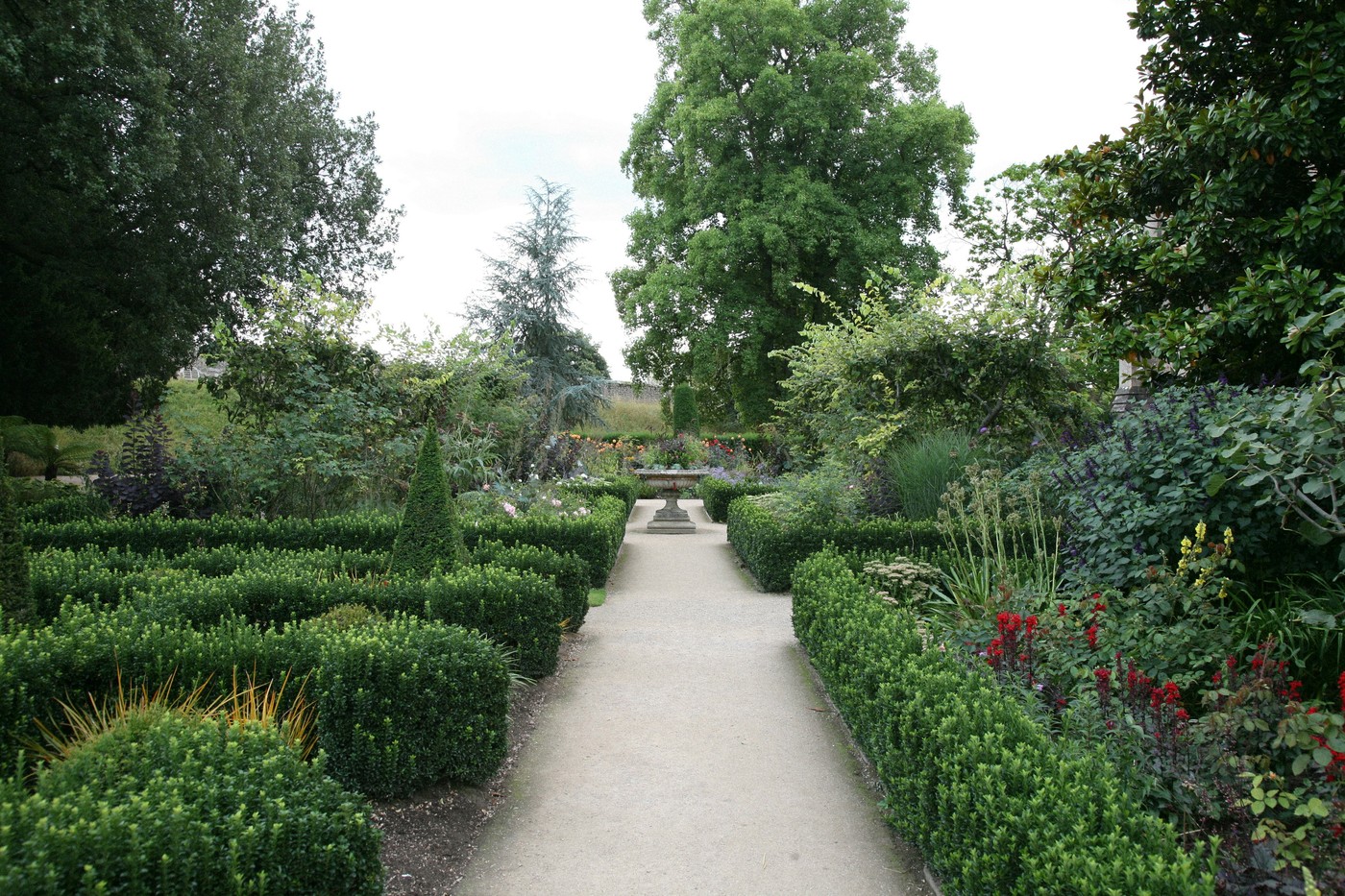 Allee bordee de haies taillees dans un jardin