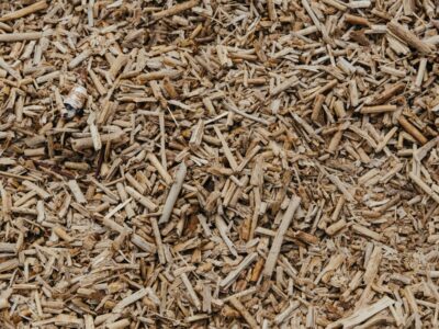 Paillage au potager les erreurs courantes qui bloquent vos