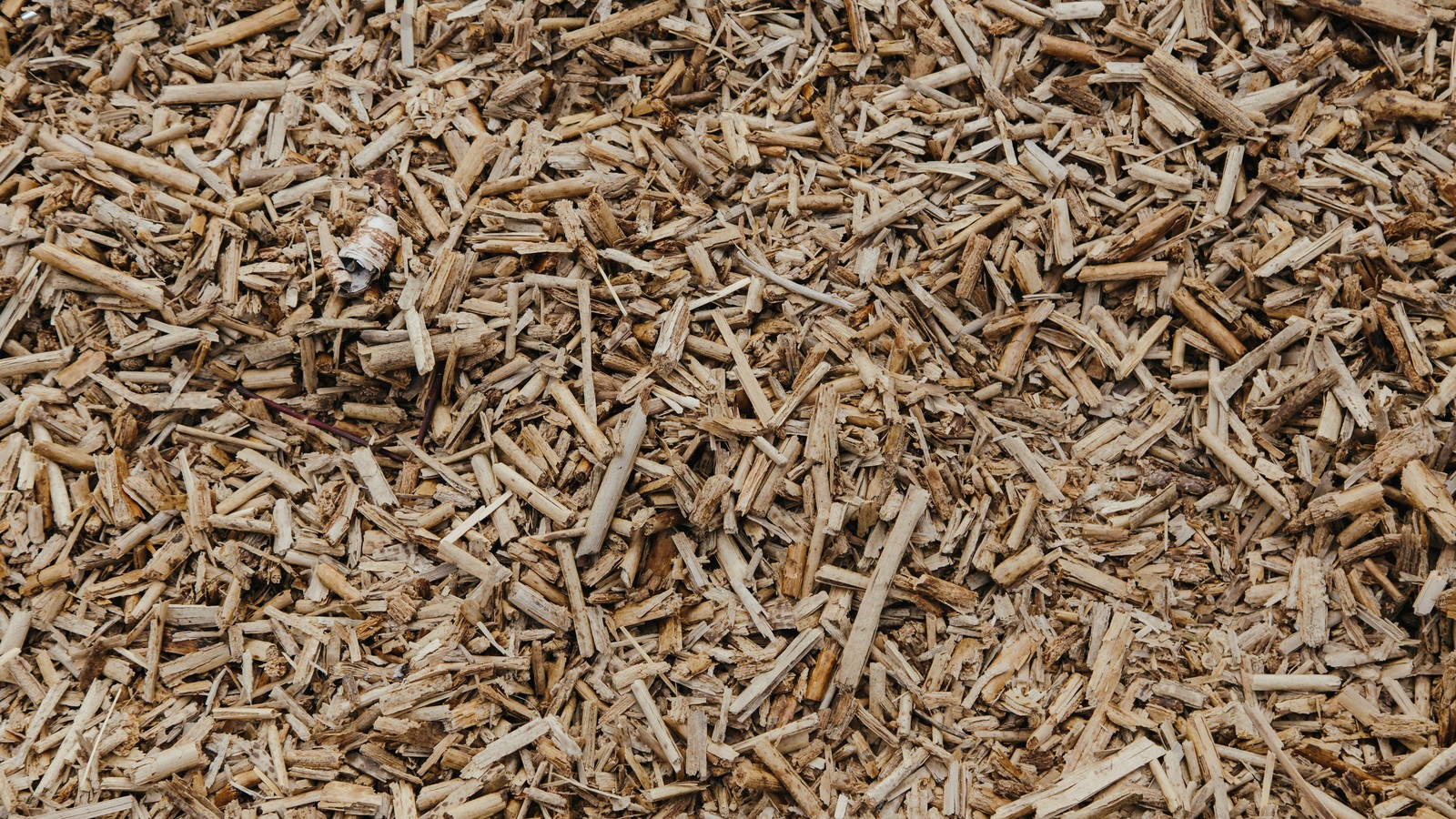 Copeaux de bois et paillis végétal étalés au sol pour le potager