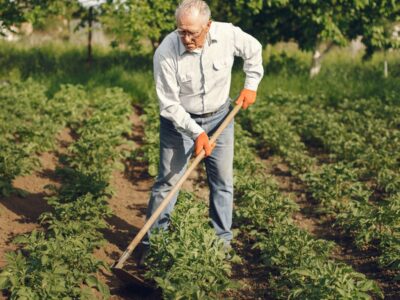 Pesticides au jardin ce que la reglementation interdit aux