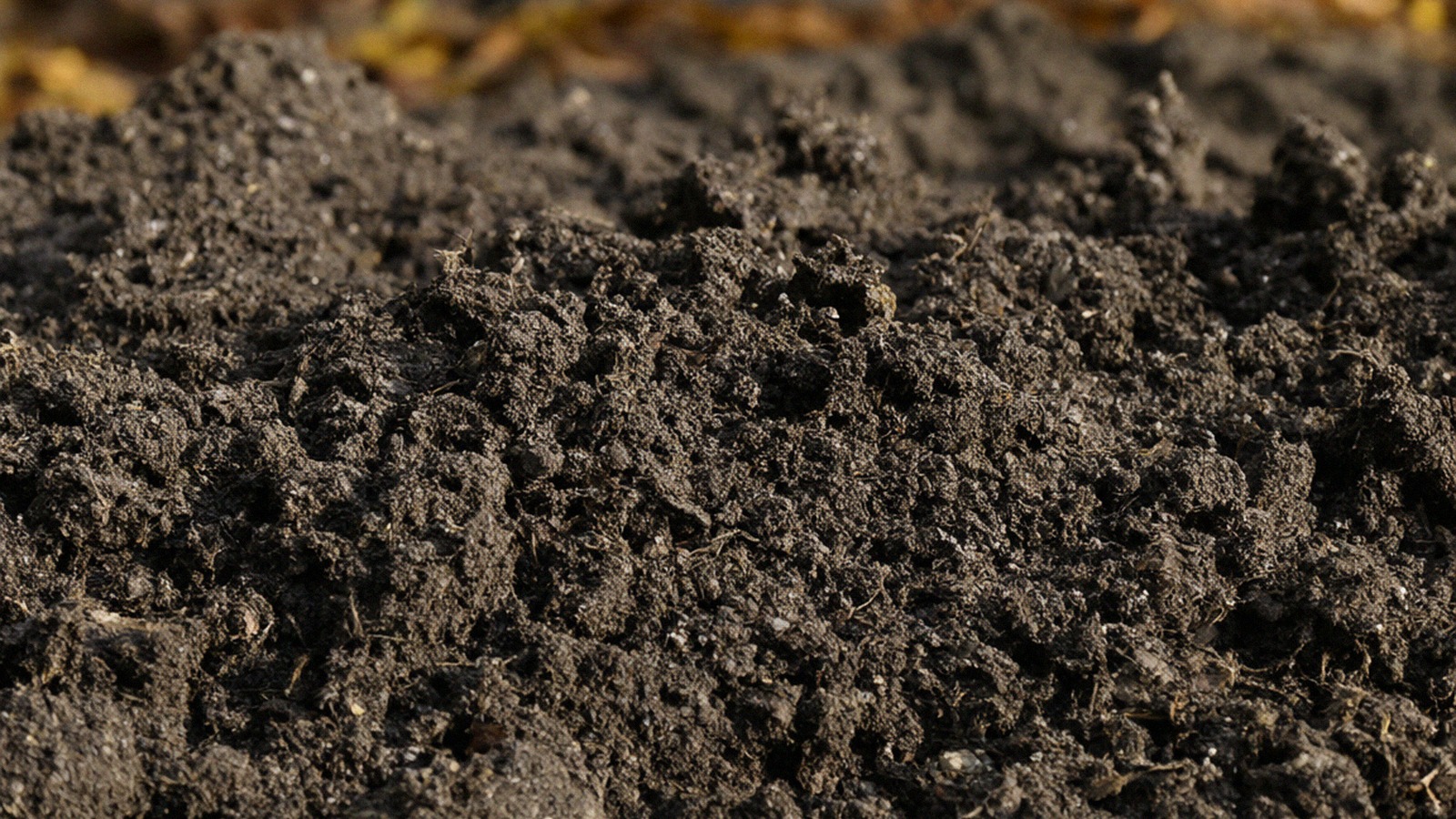 Texture fine d'une terre de jardin meuble et riche en humus